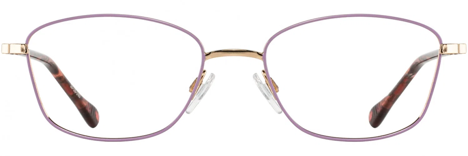 Alan J AJ522 Eyeglasses - view 13